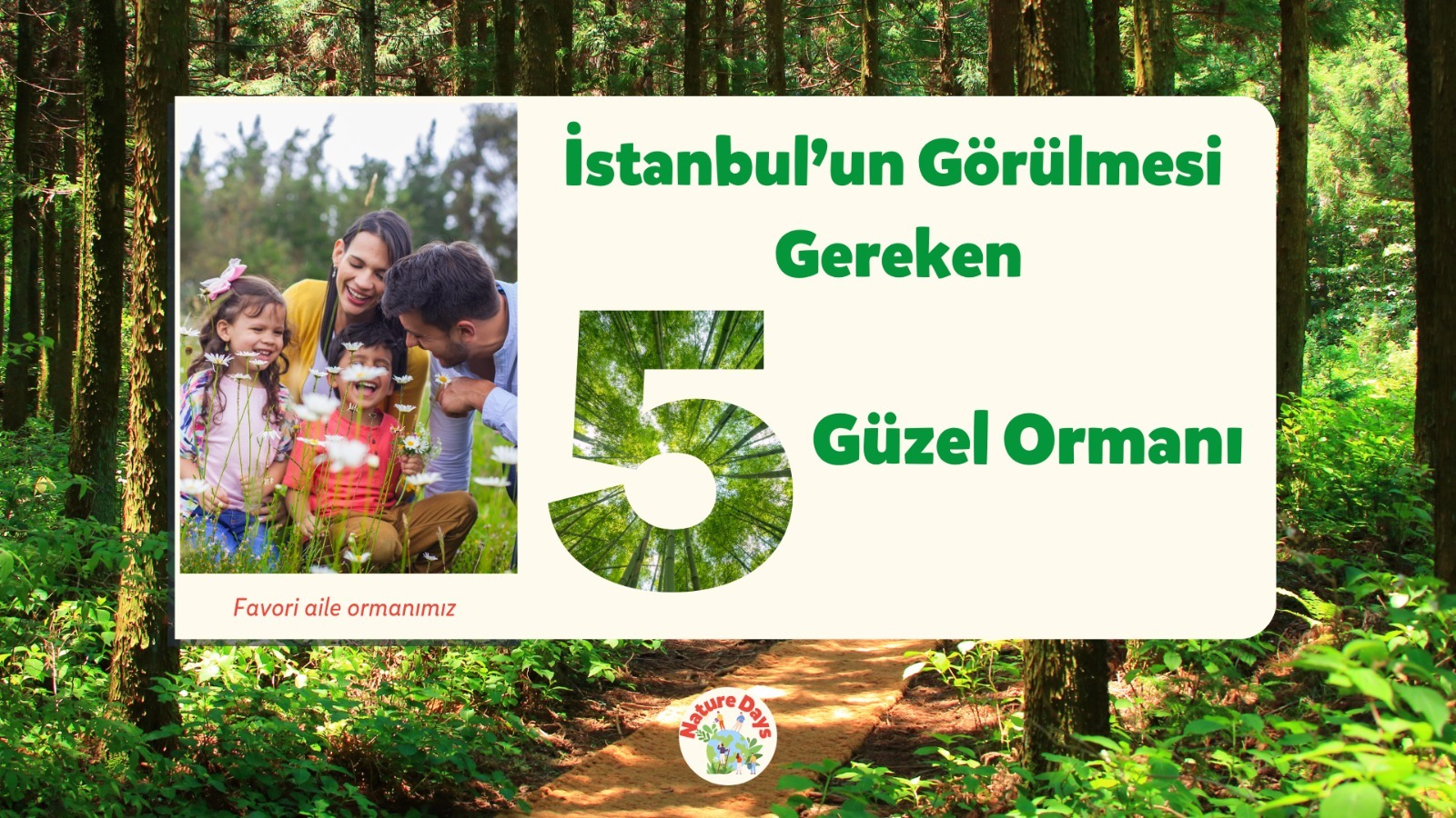 İstanbul'da Görmeniz Gereken 5 Orman